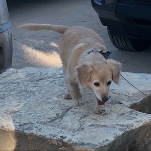 Meet your Posher, Jenna